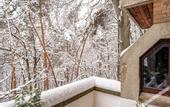 Туры в отель FOREST HOTEL