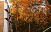 Туры в отель FOREST HOTEL