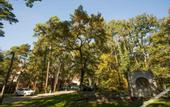 Туры в отель FOREST HOTEL
