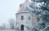 Туры в отель FOREST HOTEL