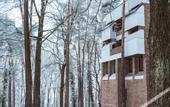 Туры в отель FOREST HOTEL