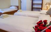 Туры в отель FOREST HOTEL