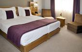 Туры в отель Hotel Rainha D. Amelia, Arts & Leisure