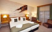Туры в отель Hotel Rainha D. Amelia, Arts & Leisure