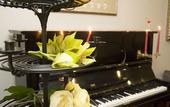 Туры в отель Hotel Rainha D. Amelia, Arts & Leisure