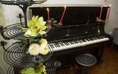 Туры в отель Hotel Rainha D. Amelia, Arts & Leisure