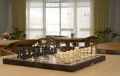 Туры в отель Hotel Rainha D. Amelia, Arts & Leisure