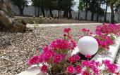 Туры в отель Aires da Serra Hotel