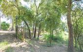 Туры в отель Quinta do Bosque