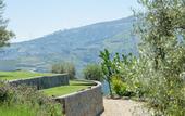 Туры в отель Quinta do Bosque