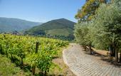 Туры в отель Quinta do Bosque