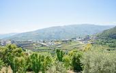 Туры в отель Quinta do Bosque