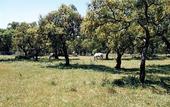 Туры в отель Hotel Sao Lourenco