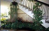 Туры в отель Hotel Sao Lourenco