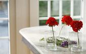 Туры в отель Imani Country House