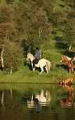 Туры в отель Herdade da Matinha Country House & Restaurant
