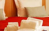 Туры в отель Vicentina Hotel
