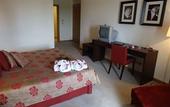Туры в отель BejaParque Hotel