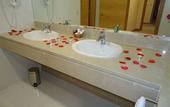 Туры в отель BejaParque Hotel