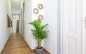 Туры в отель Faro Cosy Guest House