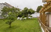 Туры в отель Casa das Hortensias - Charming Guest House
