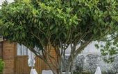 Туры в отель Casa das Hortensias - Charming Guest House