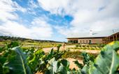 Туры в отель Quinta da Comporta Wellness Boutique Resort