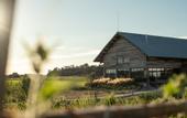 Туры в отель Quinta da Comporta Wellness Boutique Resort