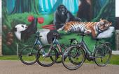 Туры в отель BFRESH Hotel - Padel, Pool & Fitness - Adults Only
