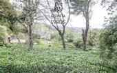 Туры в отель Quinta dos Lobos Boutique Hotel - Nature Experience