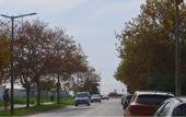 Туры в отель Art 4 You Carcavelos Suites