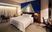 Туры в отель Hilton Garden Inn Asuncion Aviadores del Chaco