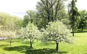 Туры в отель Ulfsunda Slott