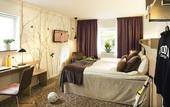 Туры в отель Boson Hotell & Konferens