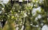 Туры в отель Almasa Havshotell