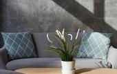 Туры в отель Almnas Park Hotel
