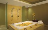 Туры в отель Dreams Royal Beach Punta Cana