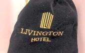 Туры в отель Livington Hotel