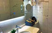 Туры в отель Livington Hotel