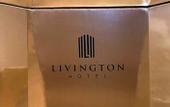 Туры в отель Livington Hotel