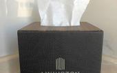 Туры в отель Livington Hotel