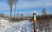 Туры в отель Magnolia House Norrviken
