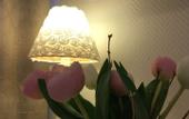 Туры в отель Malaro Hotell