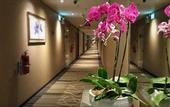 Туры в отель Changi Transit Hotel