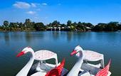 Туры в отель Chawalun Resort