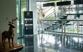 Туры в отель Marigold Sukhumvit