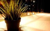 Туры в отель Marigold Sukhumvit