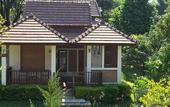 Туры в отель Papai Country Lodge