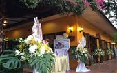 Туры в отель Papai Country Lodge