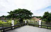 Туры в отель Papai Country Lodge